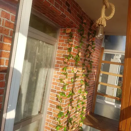 Casa Pepe Guest house