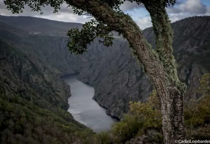 Pensjonat Casa Pepe *